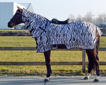 QHP Fliegen-Ausreitdecke mit Hals, zebra, gute, stabile Qualitt 